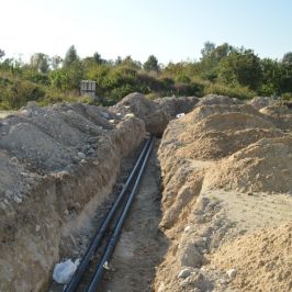 DSC 4155